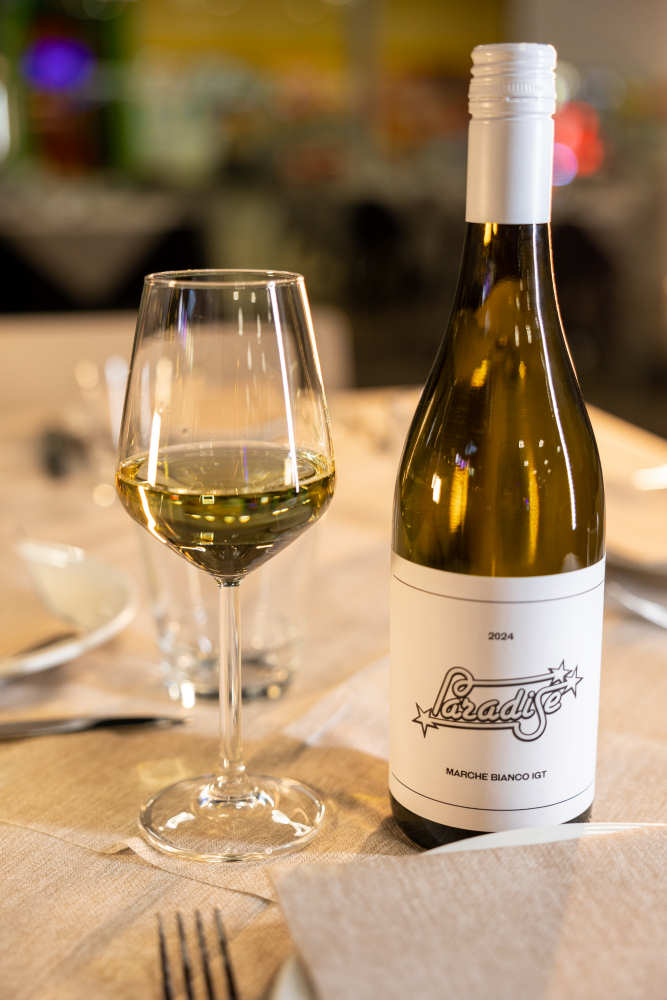 marche bianco igt web