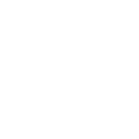 Street Food